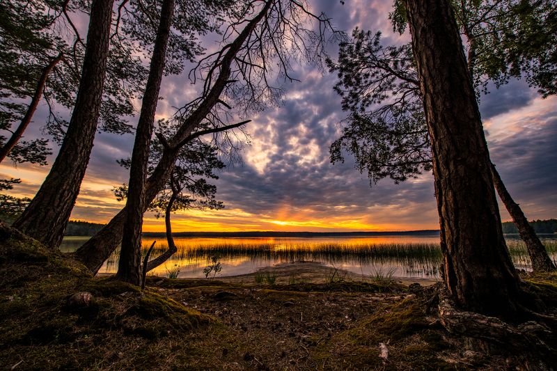 Где-то на озереphoto preview