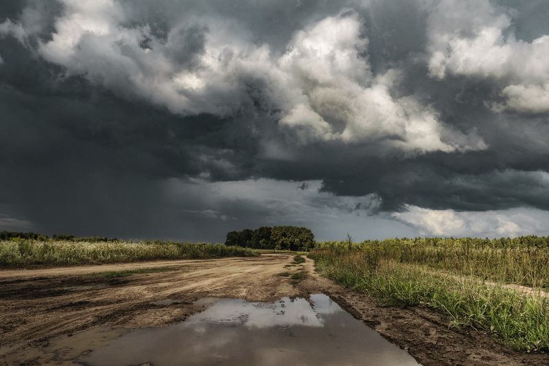 Перед грозойphoto preview