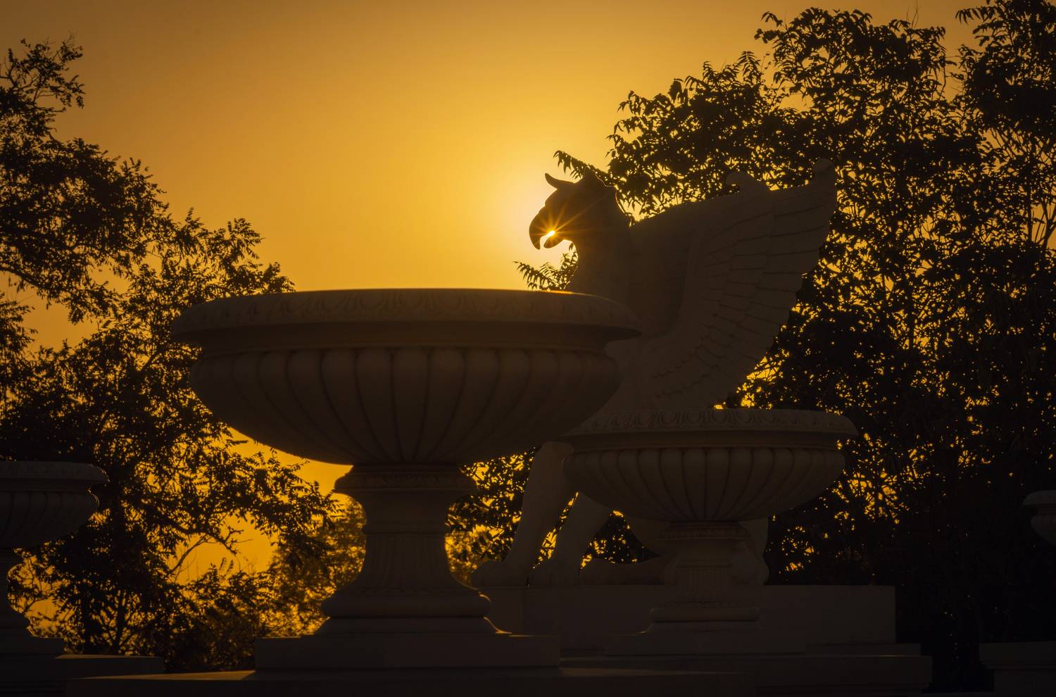 рассвет, утро, город, архитектура, скульптура, солнце, гора митридат, большая митридатская лестница, грифон, страж, мифология, монументальность, величие, красота, винтажная оптика, юпитер 37а, керчь, крым, россия, Щербак Анатолий