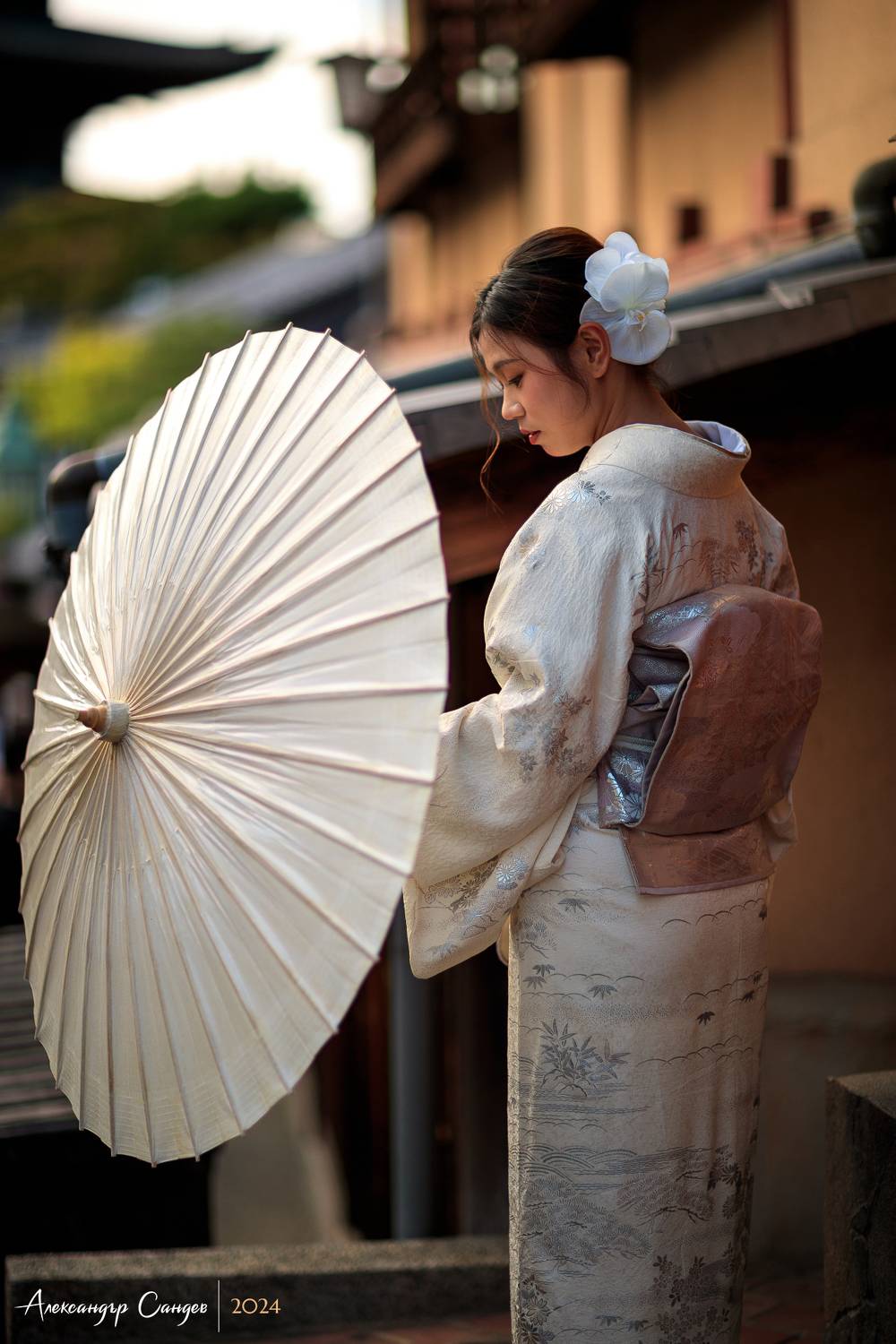 В старом городе Киото. Автор: Сандев Александър , Сандев Александър