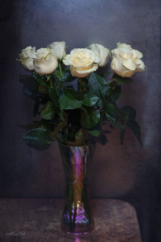 розы, белые, натюрморт Rosesphoto preview