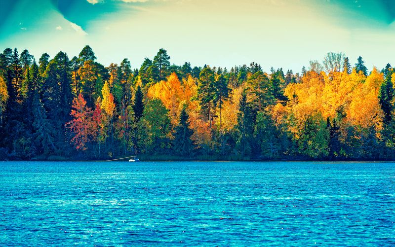 Ловись рыбка .photo preview