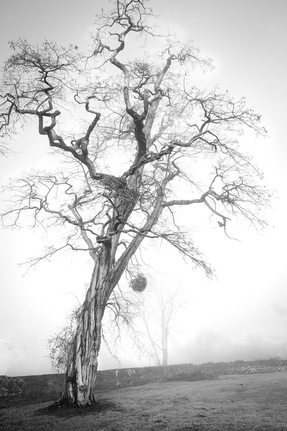 , Дьяченко Алёна