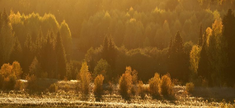 осень, осенний пейзаж Погожий денек фото превью