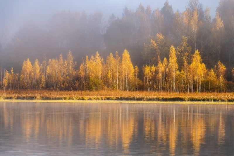 псков, пейзаж, Утро на Городищенском озероphoto preview