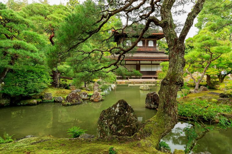 Гинкаку-дзи (яп. 銀閣寺 Серебряный павильон) фото превью