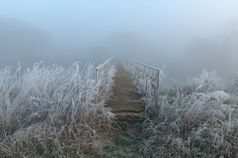 рассвет, осень, свислочь, пейзаж Морозное утроphoto preview