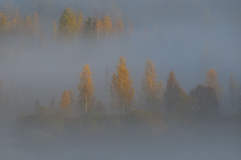 псковская область, В осеннем нарядеphoto preview