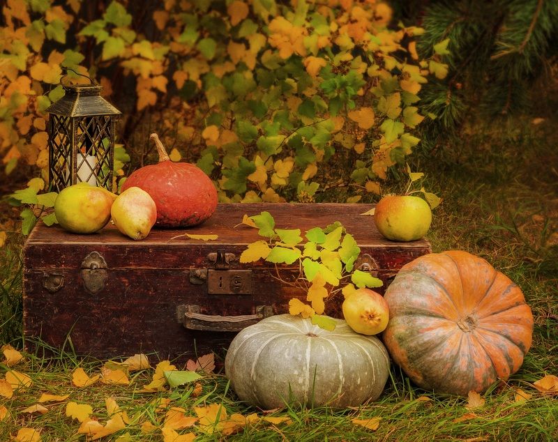 Осенний этюд.photo preview