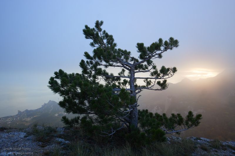 пейзажемагьё, пейзаж-как-виденье Вечер в горах над Симеизом фото превью