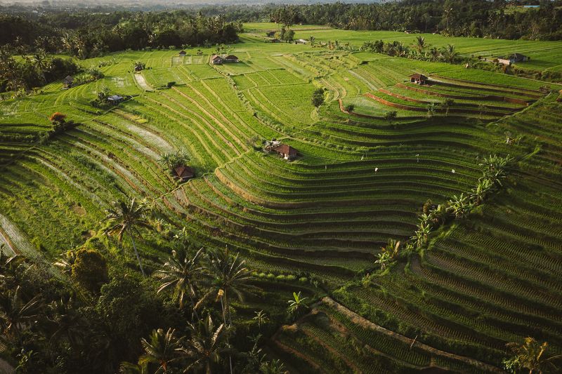 Волна фото превью