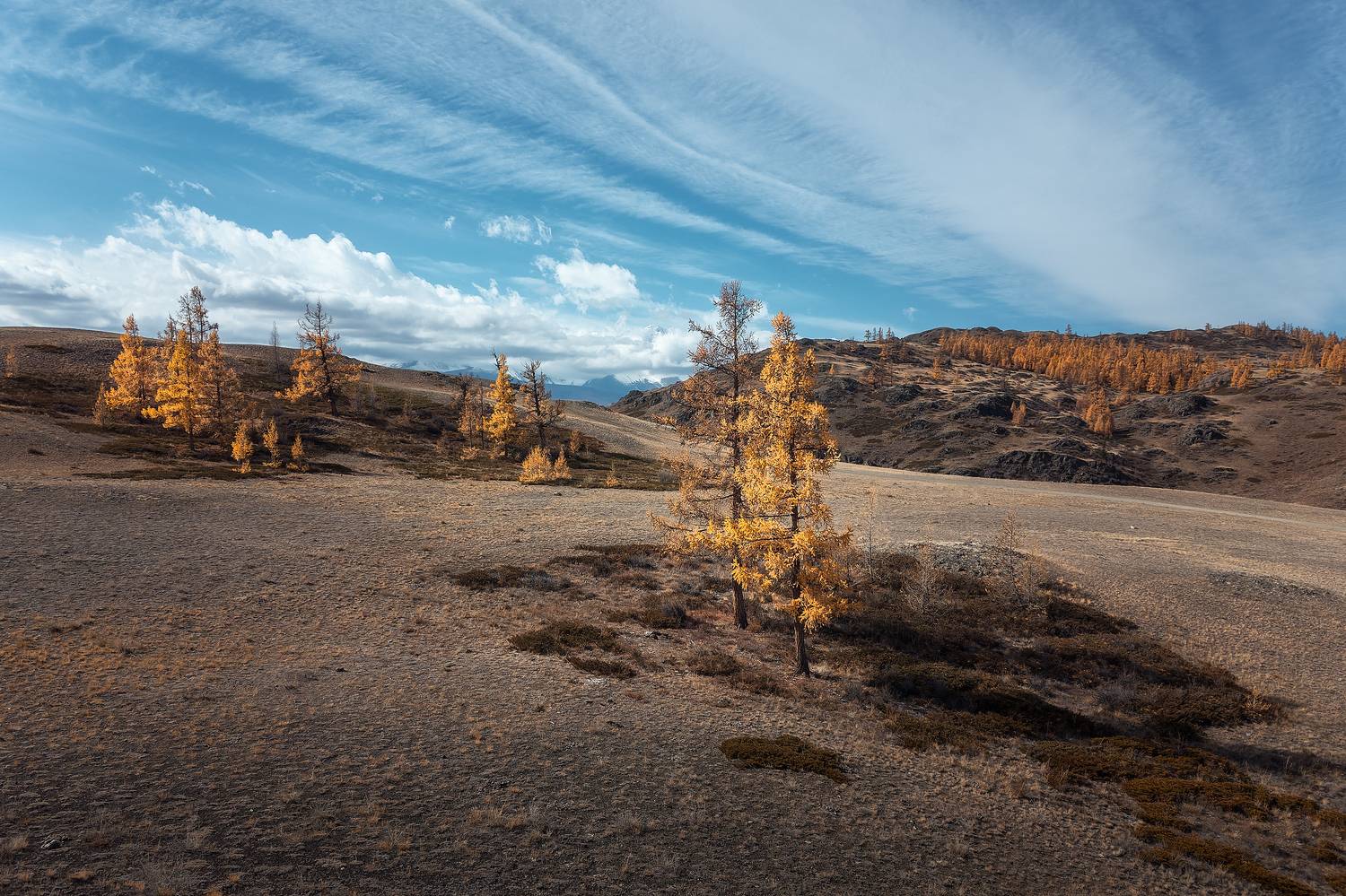Автор: Загруев Михаил , Загруев Михаил