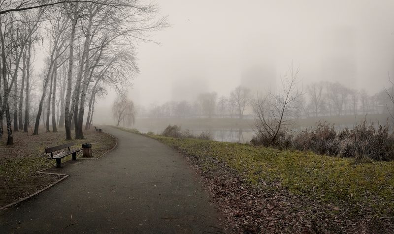 It\'s foggyphoto preview