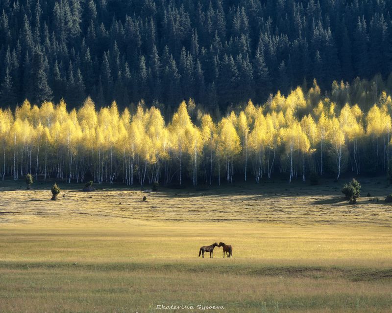 Кыргызстан, Киргизия, фототур в Киргизию Осень фото превью