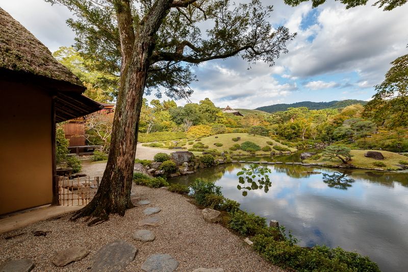 Нара фото превью