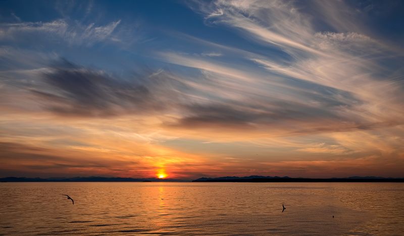 охотское море, лето, вечер, закат, берег, чайки уходящий день фото превью