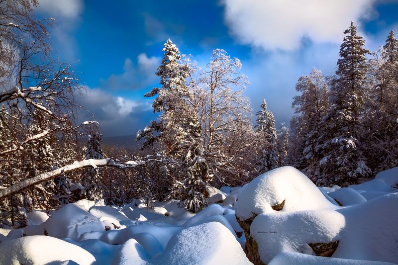 Природа Южного Уралаphoto preview