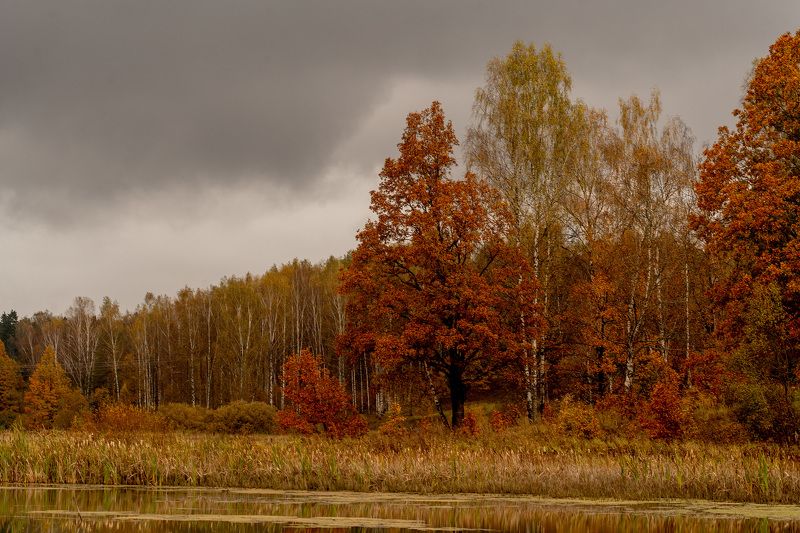 #landscape #autumn #пейзаж #осень photo preview