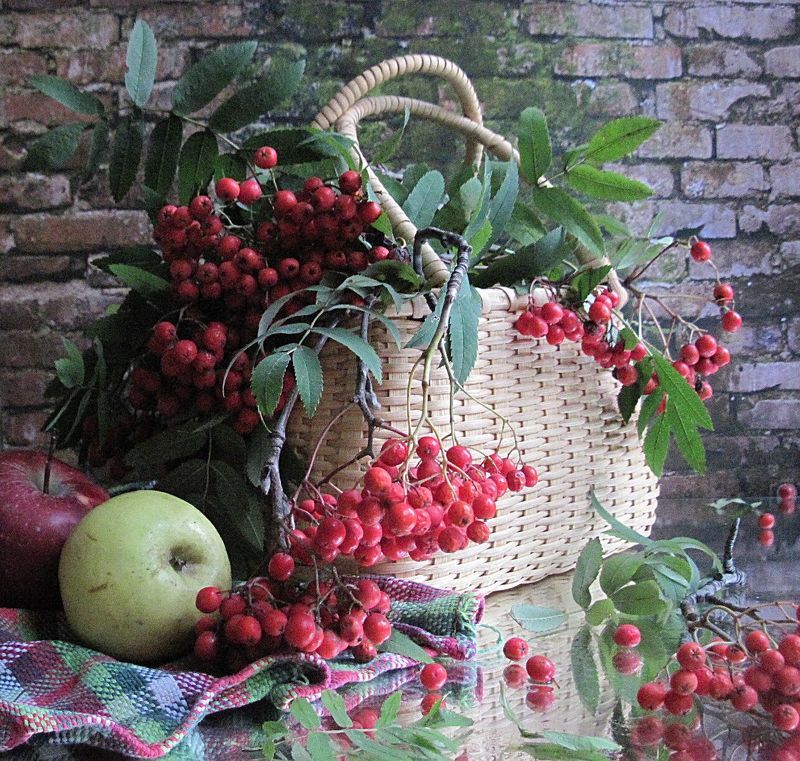 ветки, рябина, яблоки Рябинкаphoto preview