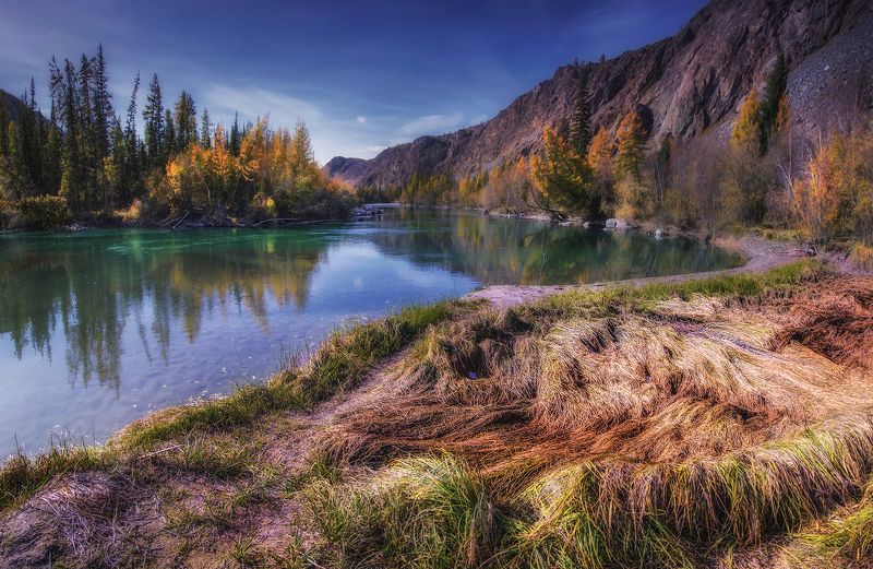 алтай, осень, река, чуя, берега Вдоль берега Чуиphoto preview