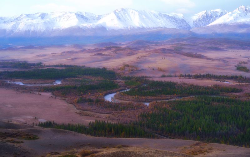 алтай горы лес утро пейзаж красивый излучины река Меандрыphoto preview