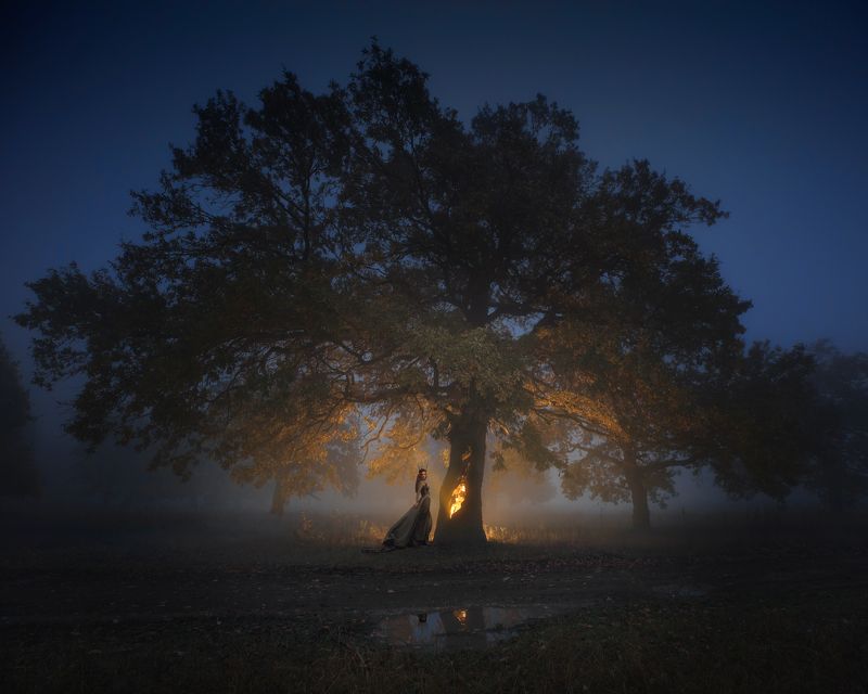 октябрь, старый дуб, дубовая роща дубки Старый дубphoto preview
