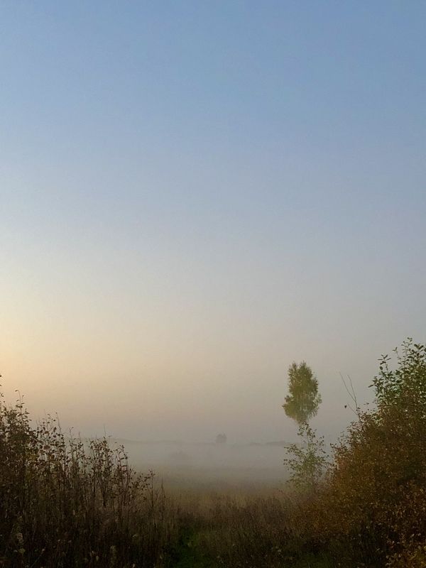 Туманphoto preview