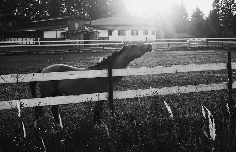 до завтра,  день уходящий!photo preview