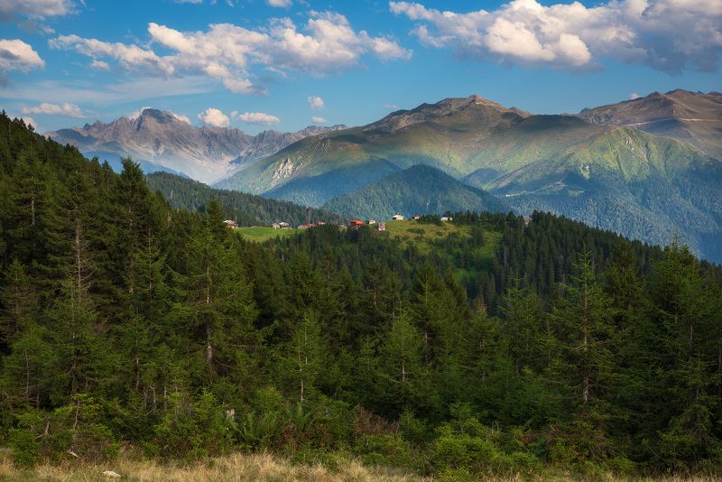 Хорошо в деревне летом...photo preview