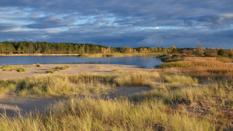 Снова осень...photo preview