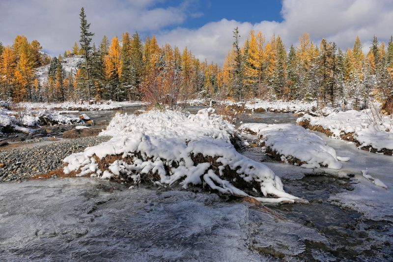 Алтай, республика Алтай Первые заморозкиphoto preview