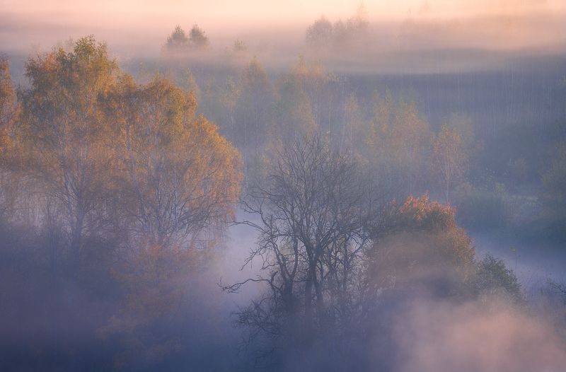 истра, утро, осень, рассвет, туман Туманная нега фото превью