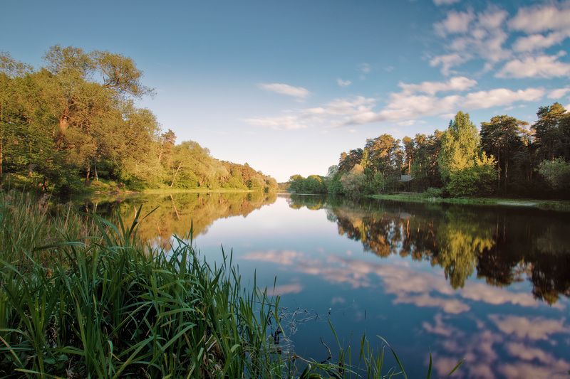 лес, озеро, отражения На озере фото превью