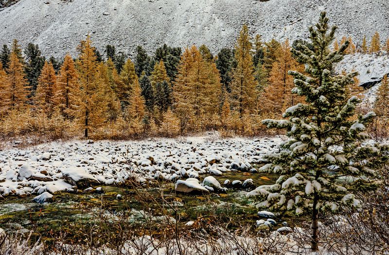алтай., сентябрь У реки... фото превью