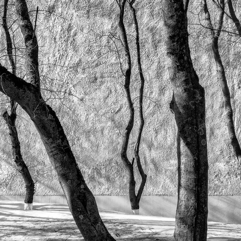 город, весна, снег, дерево Городской пейзаж #01photo preview