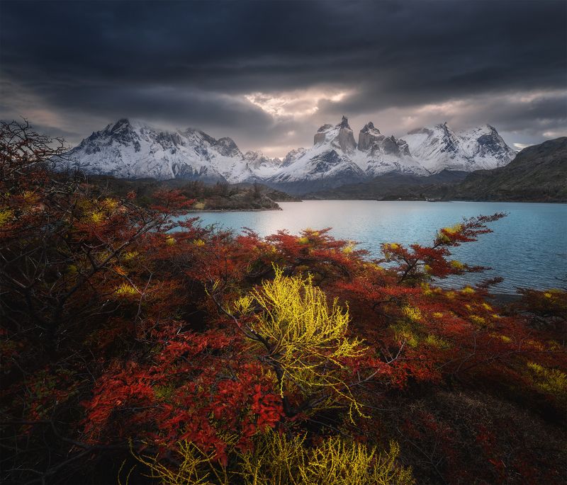 Lago Pehoé фото превью