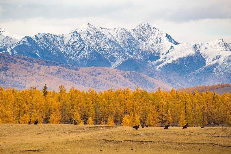 респ. Бурятия. Окинский район.photo preview