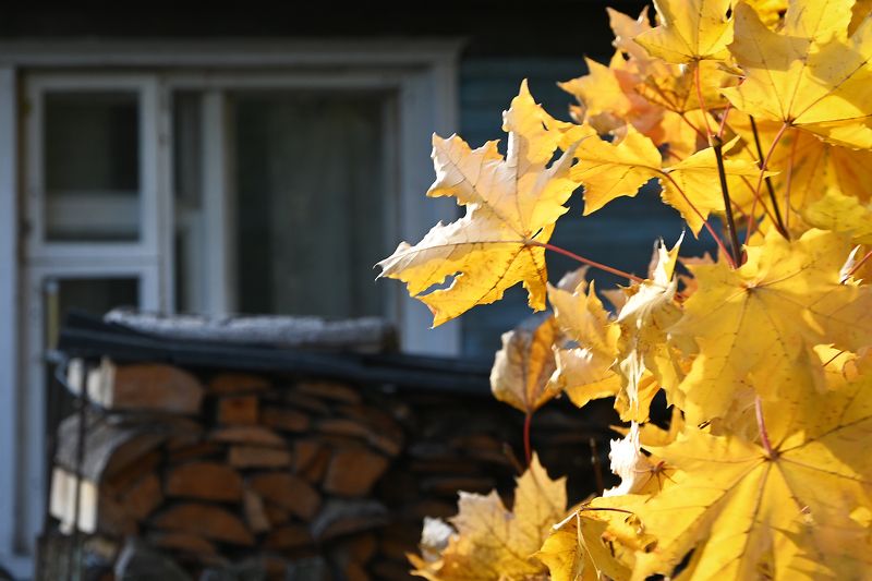 Осенние окнаphoto preview