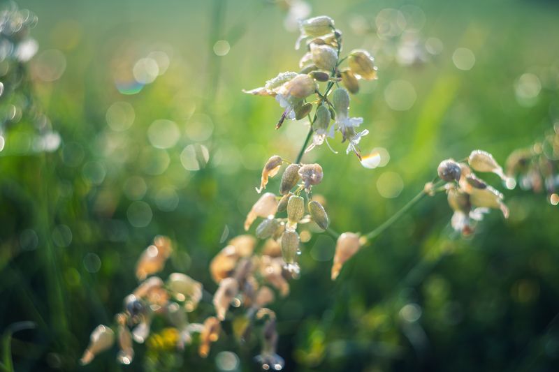 Мир цветовphoto preview