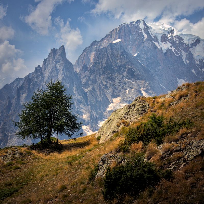 moutain,square,alps,trek,tree,peak,mont-blanc,italy Peuterayphoto preview
