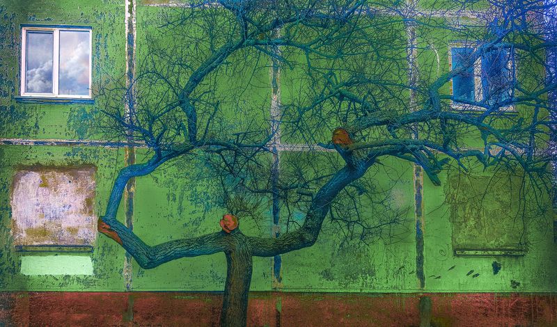 The story of the wooden treephoto preview