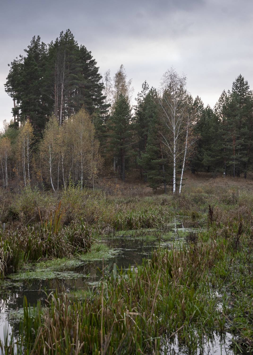 Автор: Иван Мосьянов , Иван Мосьянов