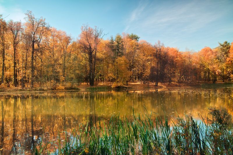 осень, парк, пруд В осеннем парке фото превью