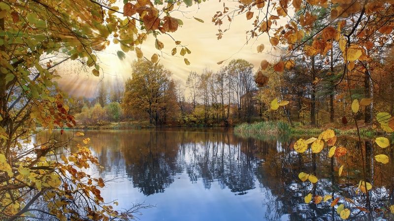 Золотая осеньphoto preview