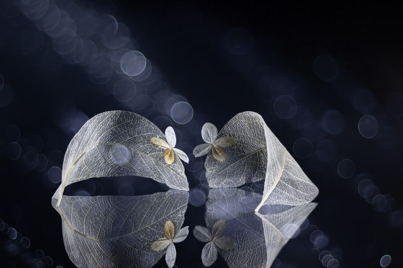 A heartfelt meeting фото превью