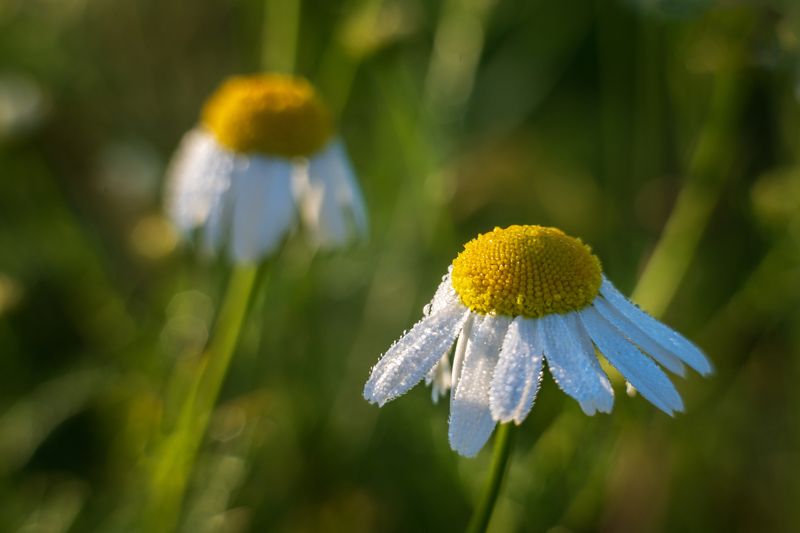 Мир цветовphoto preview