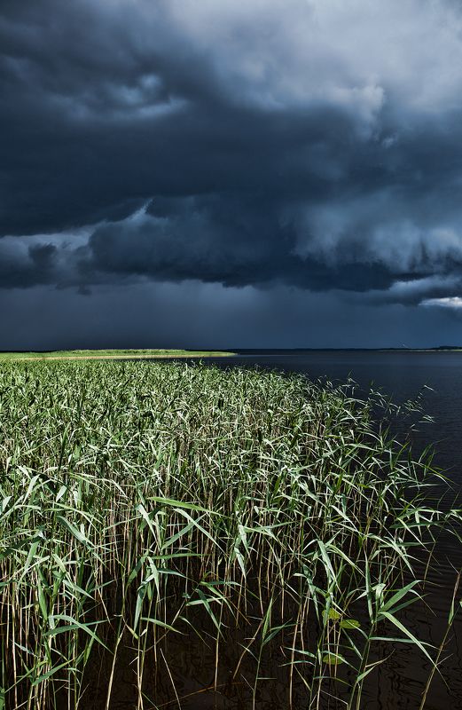 наканунеphoto preview