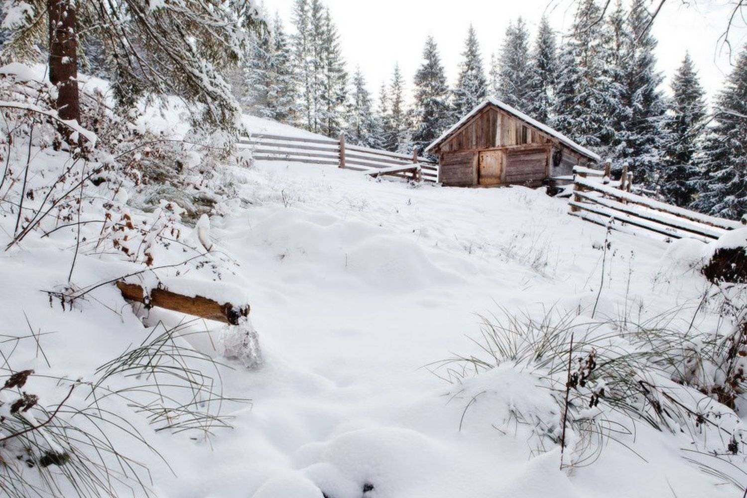 Карпаты, природа, пейзаж, зима, хижина, дом, снег, холод, мороз, Piligrim