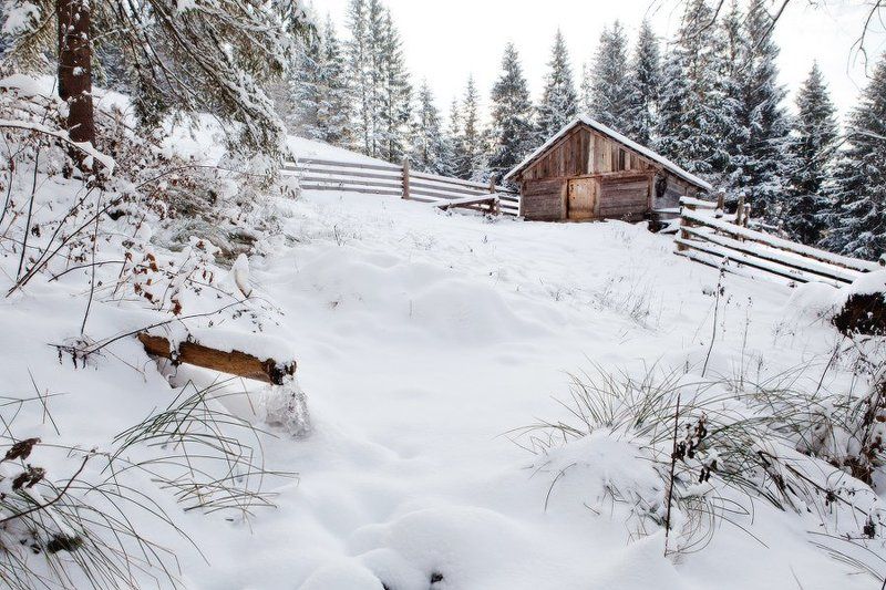 Карпаты, природа, пейзаж, зима, хижина, дом, снег, холод, мороз хижинаphoto preview