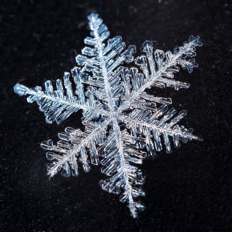 снежинка хрупкостьphoto preview